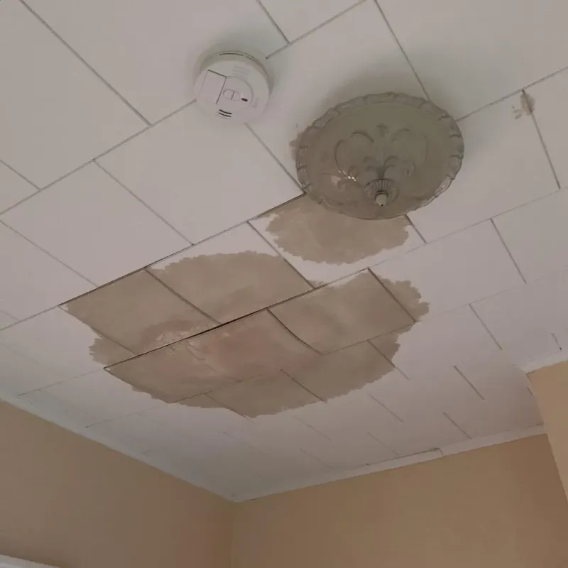 Ceiling Water Damage Repair in Mount Pleasant, TX