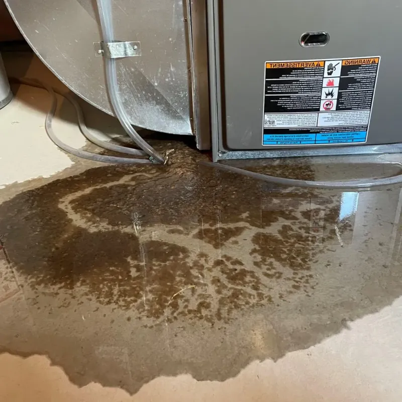 Pipe Burst and Leak Restoration in Mount Pleasant, TX