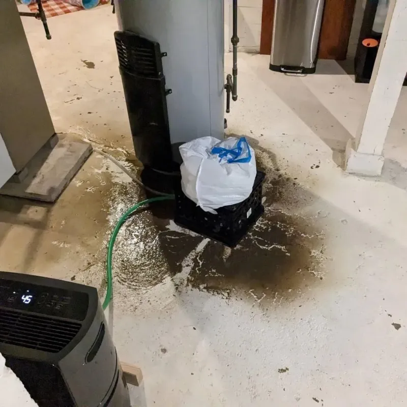 Sewage Backup Cleanup Service in Mount Pleasant, TX